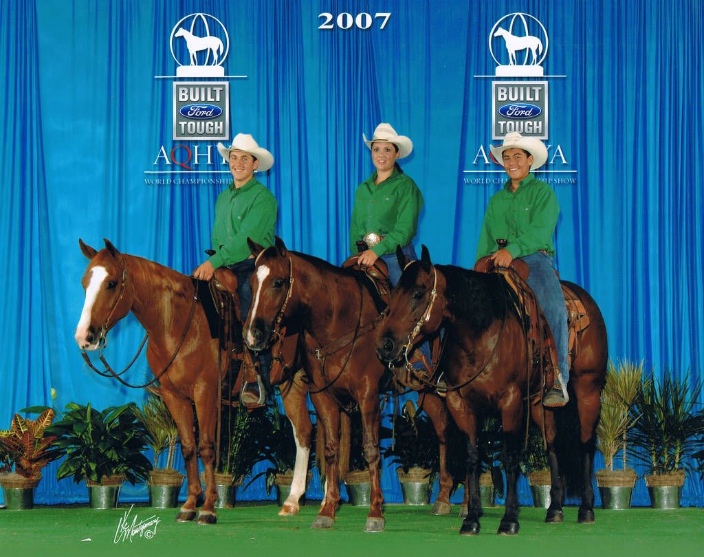 Quintana Quarter Horses Client Success