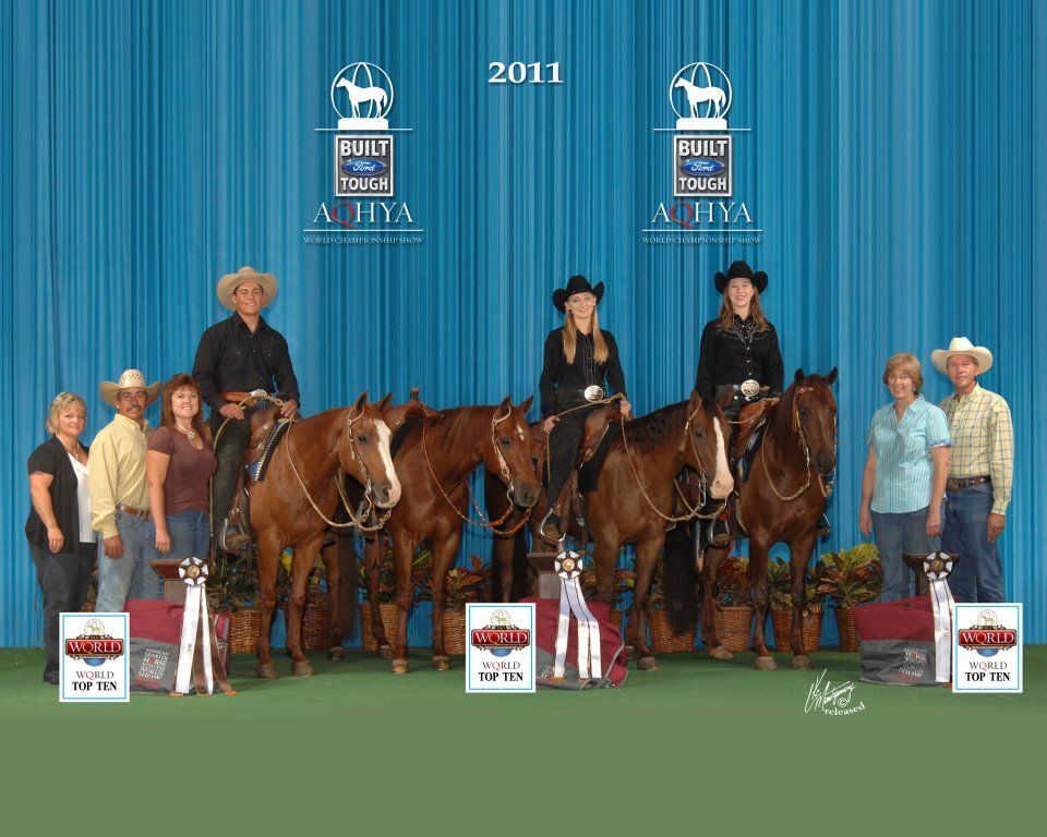 Quintana Quarter Horses Client Success